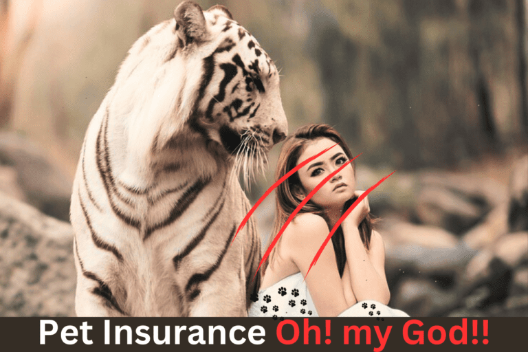 how much does pet insurance cost